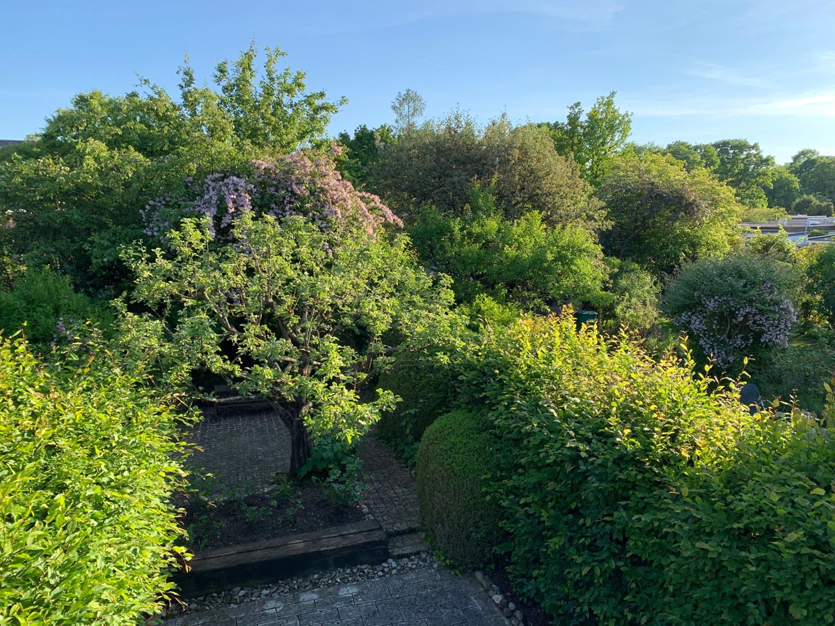 https://www.immobilienheinrich.com/wp-content/uploads/Reihenmittelhaus_Muenchen_Fuerstenried_Ausblick_02.jpg